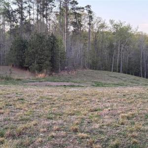 Photo #16 of 4.89ac Waterside Drive, Lanexa, Virginia 4.9 acres