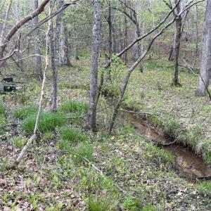 Photo #20 of 4.89ac Waterside Drive, Lanexa, Virginia 4.9 acres