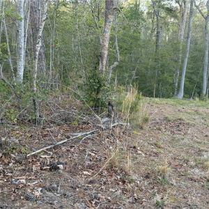 Photo #21 of 4.89ac Waterside Drive, Lanexa, Virginia 4.9 acres