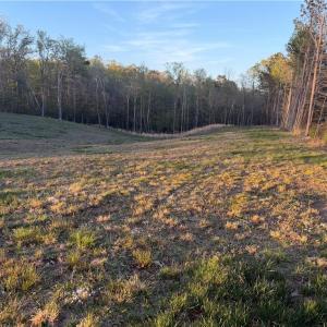 Photo #5 of 4.89ac Waterside Drive, Lanexa, Virginia 4.9 acres