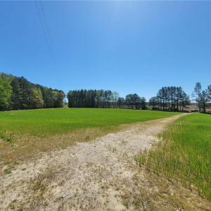 Photo #11 of 209 AC Five Forks Road, Freeman, Virginia 209.6 acres