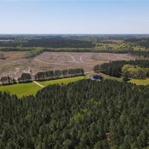 Photo #12 of 209 AC Five Forks Road, Freeman, Virginia 209.6 acres