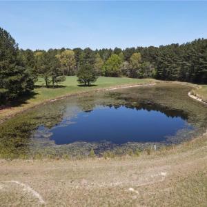 Photo #13 of 209 AC Five Forks Road, Freeman, Virginia 209.6 acres