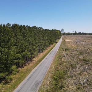 Photo #14 of 209 AC Five Forks Road, Freeman, Virginia 209.6 acres