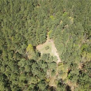 Photo #15 of 209 AC Five Forks Road, Freeman, Virginia 209.6 acres