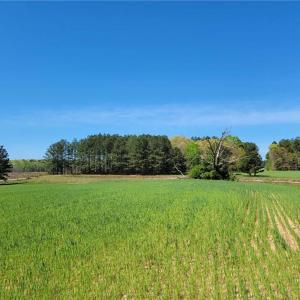 Photo #16 of 209 AC Five Forks Road, Freeman, Virginia 209.6 acres