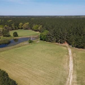 Photo #17 of 209 AC Five Forks Road, Freeman, Virginia 209.6 acres