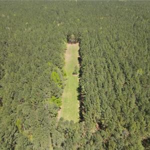 Photo #18 of 209 AC Five Forks Road, Freeman, Virginia 209.6 acres