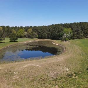 Photo #19 of 209 AC Five Forks Road, Freeman, Virginia 209.6 acres