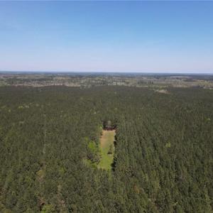 Photo #20 of 209 AC Five Forks Road, Freeman, Virginia 209.6 acres