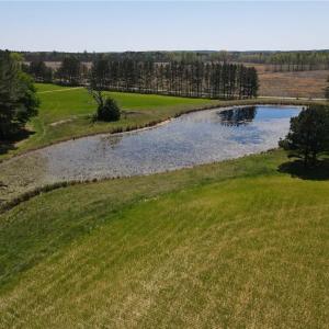 Photo #3 of 209 AC Five Forks Road, Freeman, Virginia 209.6 acres