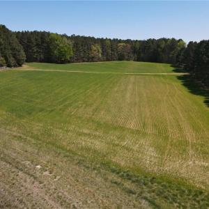 Photo #23 of 209 AC Five Forks Road, Freeman, Virginia 209.6 acres