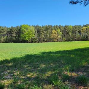 Photo #24 of 209 AC Five Forks Road, Freeman, Virginia 209.6 acres