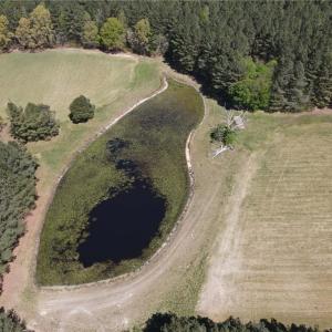 Photo #25 of 209 AC Five Forks Road, Freeman, Virginia 209.6 acres