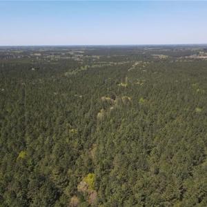 Photo #26 of 209 AC Five Forks Road, Freeman, Virginia 209.6 acres