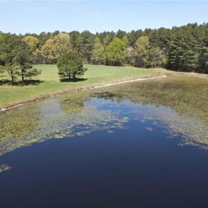 Photo #27 of 209 AC Five Forks Road, Freeman, Virginia 209.6 acres