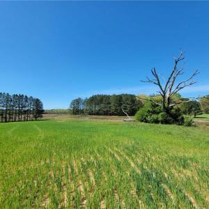 Photo #28 of 209 AC Five Forks Road, Freeman, Virginia 209.6 acres