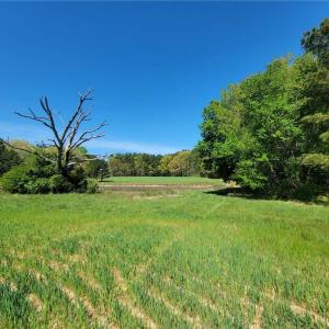 Photo #29 of 209 AC Five Forks Road, Freeman, Virginia 209.6 acres
