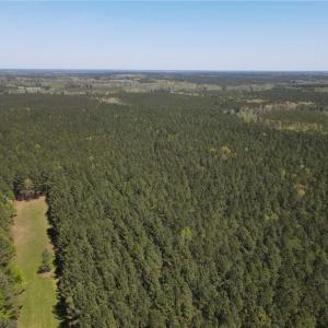 Photo #30 of 209 AC Five Forks Road, Freeman, Virginia 209.6 acres