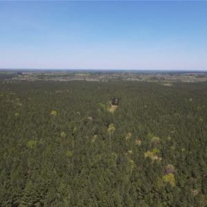 Photo #4 of 209 AC Five Forks Road, Freeman, Virginia 209.6 acres