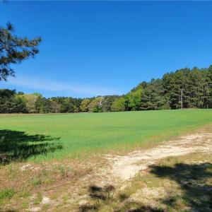 Photo #31 of 209 AC Five Forks Road, Freeman, Virginia 209.6 acres