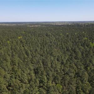 Photo #6 of 209 AC Five Forks Road, Freeman, Virginia 209.6 acres