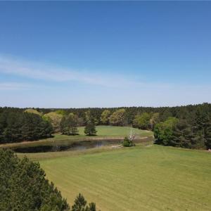 Photo #8 of 209 AC Five Forks Road, Freeman, Virginia 209.6 acres