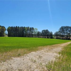 Photo #9 of 209 AC Five Forks Road, Freeman, Virginia 209.6 acres