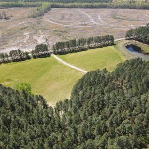 Photo #10 of 209 AC Five Forks Road, Freeman, Virginia 209.6 acres