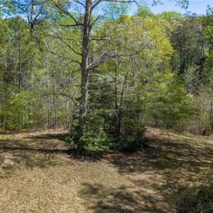 Photo #17 of 1.45ac Dancers Creek, Dutton, Virginia 1.5 acres