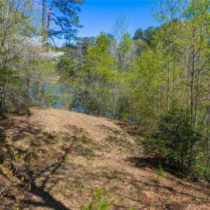 Photo #19 of 1.45ac Dancers Creek, Dutton, Virginia 1.5 acres