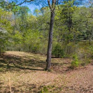 Photo #20 of 1.45ac Dancers Creek, Dutton, Virginia 1.5 acres