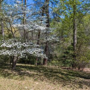 Photo #21 of 1.45ac Dancers Creek, Dutton, Virginia 1.5 acres