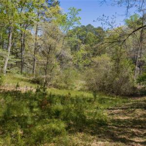 Photo #24 of 1.45ac Dancers Creek, Dutton, Virginia 1.5 acres
