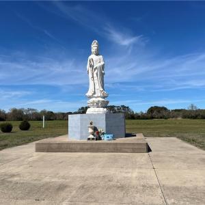 Photo #1 of 43-AC Parker Road Road, Knotts Island, North Carolina 41.4 acres