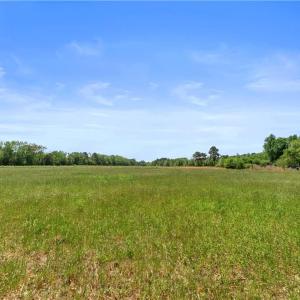 Photo #13 of 909 Murphys Mill Road, Suffolk, Virginia 37.2 acres