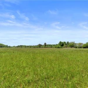 Photo #14 of 909 Murphys Mill Road, Suffolk, Virginia 37.2 acres