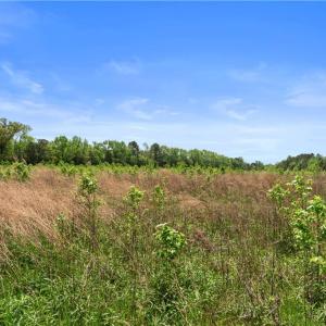 Photo #15 of 909 Murphys Mill Road, Suffolk, Virginia 37.2 acres