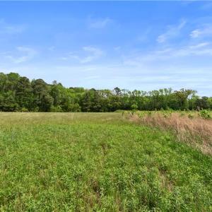 Photo #16 of 909 Murphys Mill Road, Suffolk, Virginia 37.2 acres