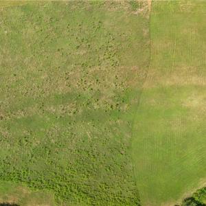 Photo #7 of 909 Murphys Mill Road, Suffolk, Virginia 37.2 acres