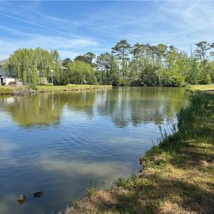 Photo #3 of 343 End Street, Knotts Island, North Carolina 10.4 acres