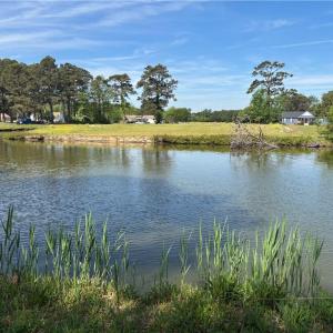 Photo #5 of 343 End Street, Knotts Island, North Carolina 10.4 acres