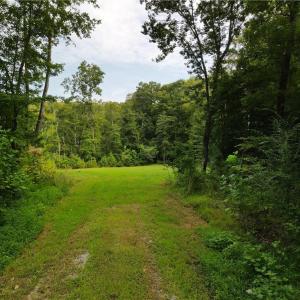 Photo #1 of 001 Pennsylvania Avenue, Claremont, Virginia 6.3 acres