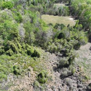 Photo #3 of 001 Pennsylvania Avenue, Claremont, Virginia 6.3 acres