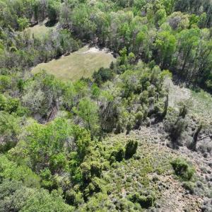 Photo #4 of 001 Pennsylvania Avenue, Claremont, Virginia 6.3 acres