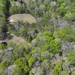 Photo #5 of 001 Pennsylvania Avenue, Claremont, Virginia 6.3 acres