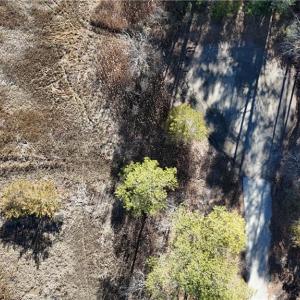 Photo #6 of Lot A Rollins Street, Poquoson, Virginia 3.0 acres