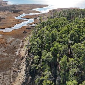 Photo #7 of Lot A Rollins Street, Poquoson, Virginia 3.0 acres