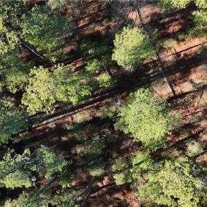 Photo #9 of Lot A Rollins Street, Poquoson, Virginia 3.0 acres