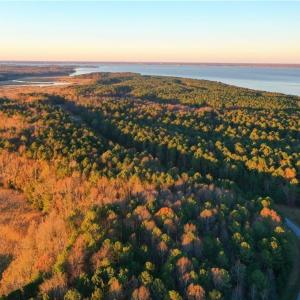 Photo #4 of 1440 Creekway Drive, Smithfield, Virginia 2.8 acres